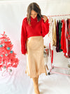 Christmas Party Skirt